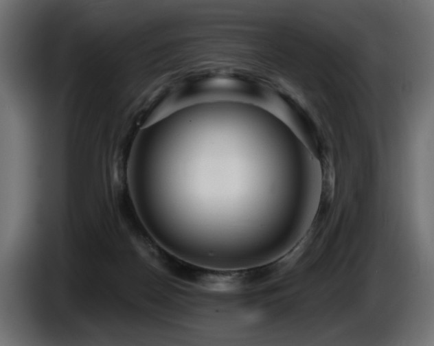 X0000087680170200705041035
