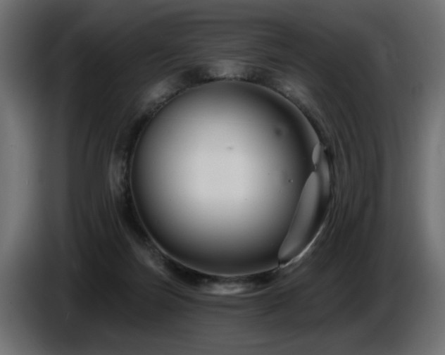 X0000087680171200705041035