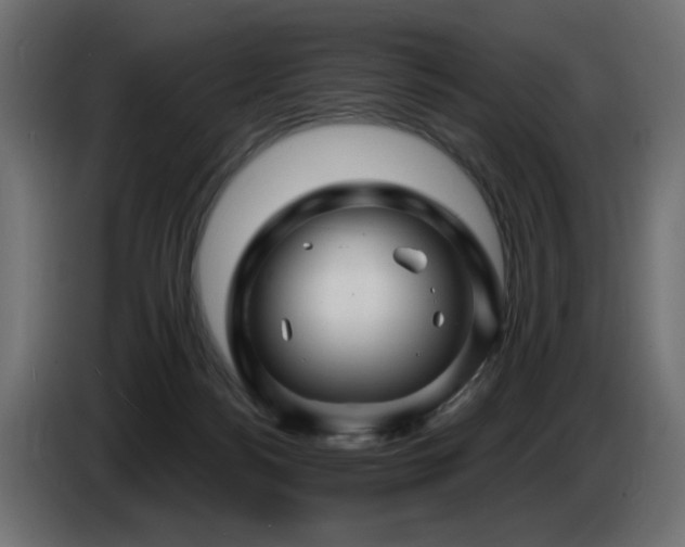 X0000087680172200705041035