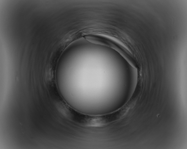 X0000087680173200705041035