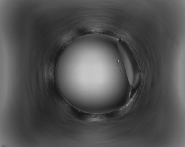 X0000087680175200705041035