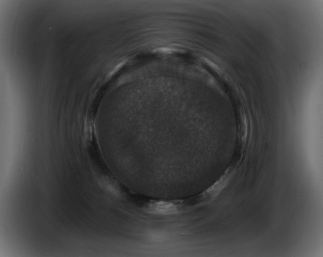 X0000087680180200705041035