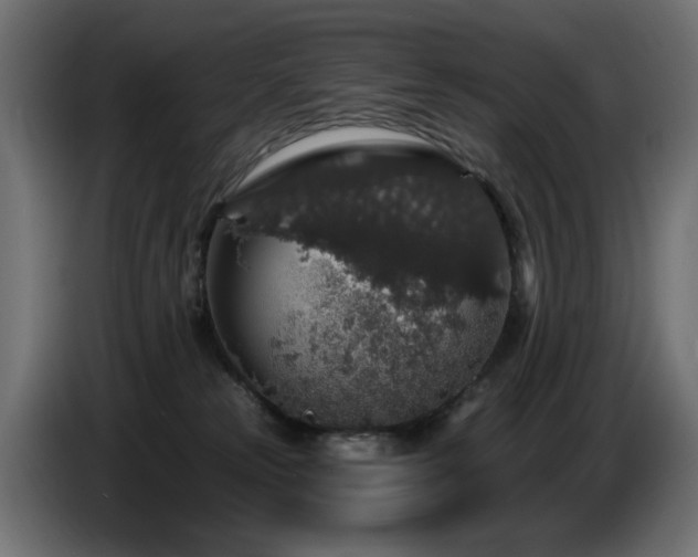 X0000087680181200705041035