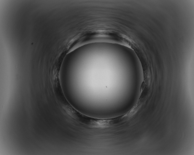 X0000087680184200705041035