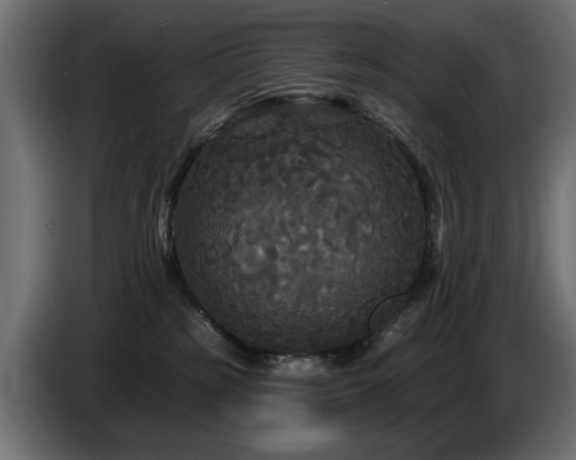X0000087680185200705041035