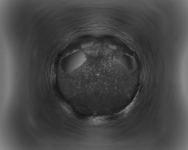 X0000087680186200705041035