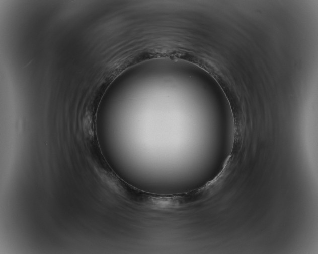 X0000087680187200705041035