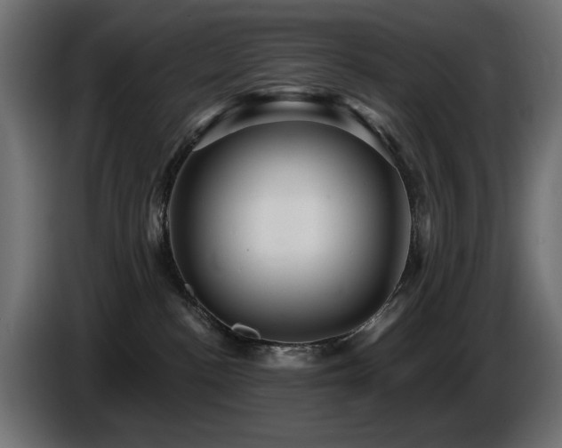 X0000087680188200705041035