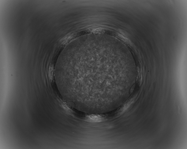 X0000087680189200705041035