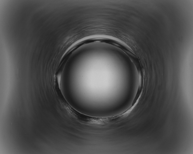X0000087680190200705041035