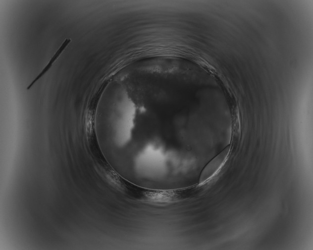 X0000087680191200705041035