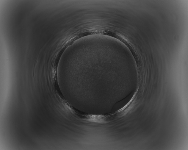 X0000087680192200705041035