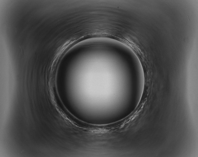 X0000087680193200705041035