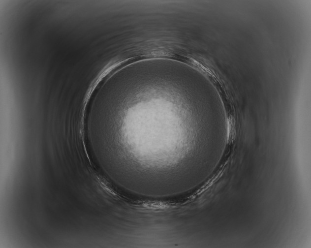 X0000087680195200705041035