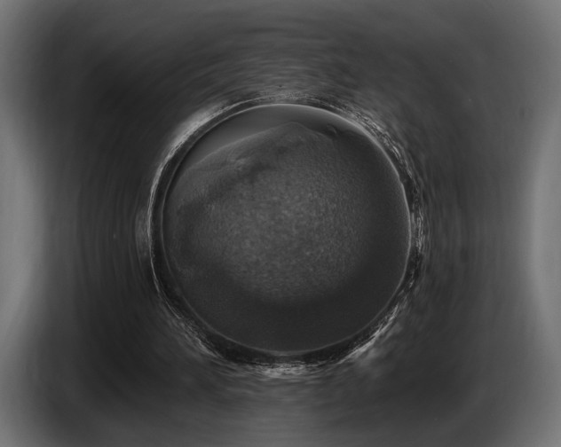 X0000087680196200705041035