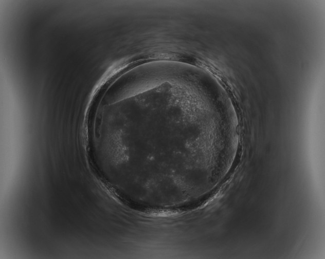 X0000087680198200705041035