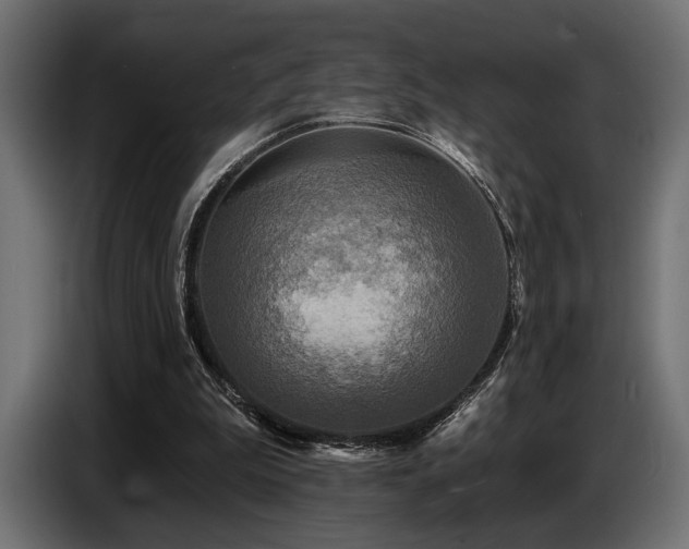 X0000087680199200705041035