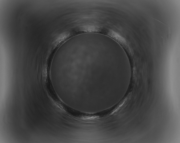 X0000087680202200705041035