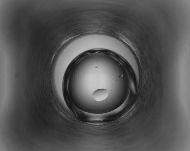 X0000087680203200705041035