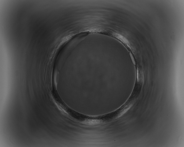 X0000087680205200705041035