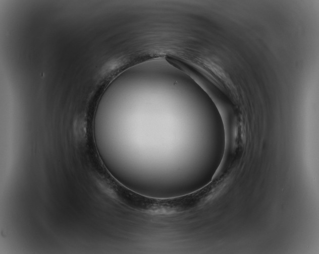 X0000087680207200705041035