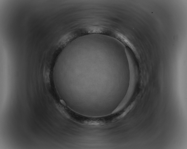 X0000087680209200705041035
