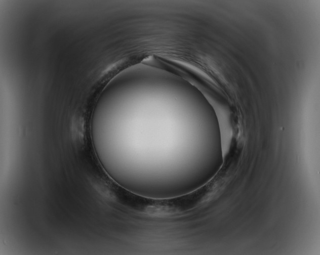 X0000087680211200705041035