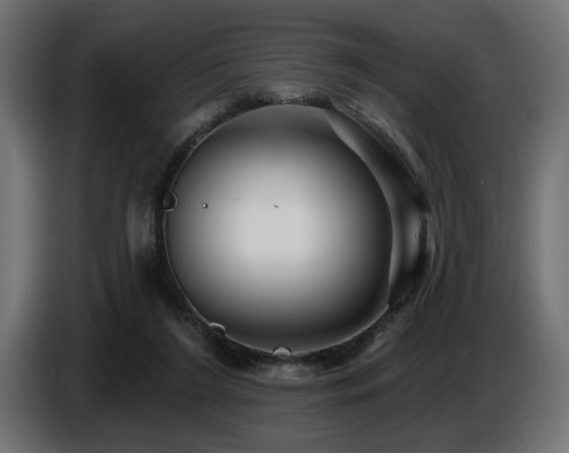 X0000087680212200705041035