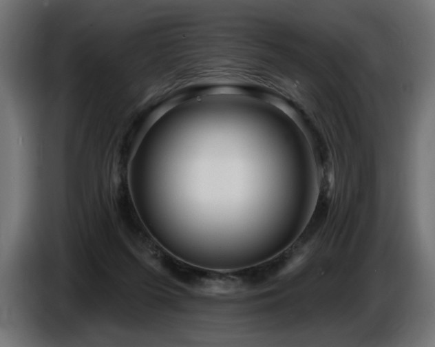 X0000087680215200705041035