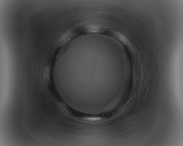X0000087680217200705041035