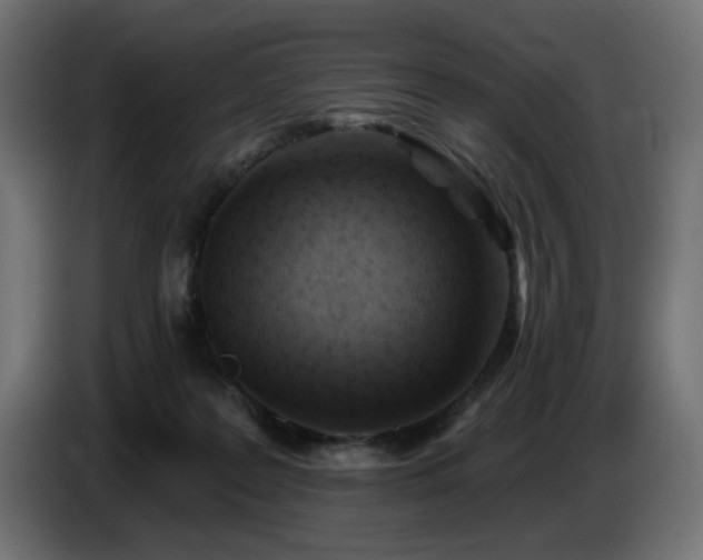 X0000087680219200705041035