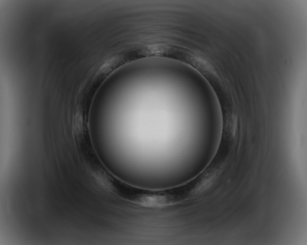 X0000087680220200705041035