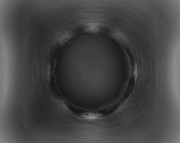 X0000087680223200705041035