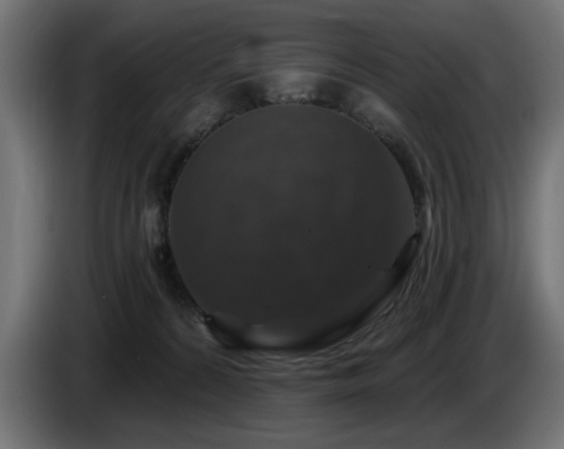 X0000087680224200705041034