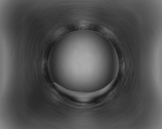 X0000087680225200705041034