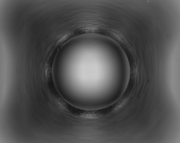 X0000087680228200705041034