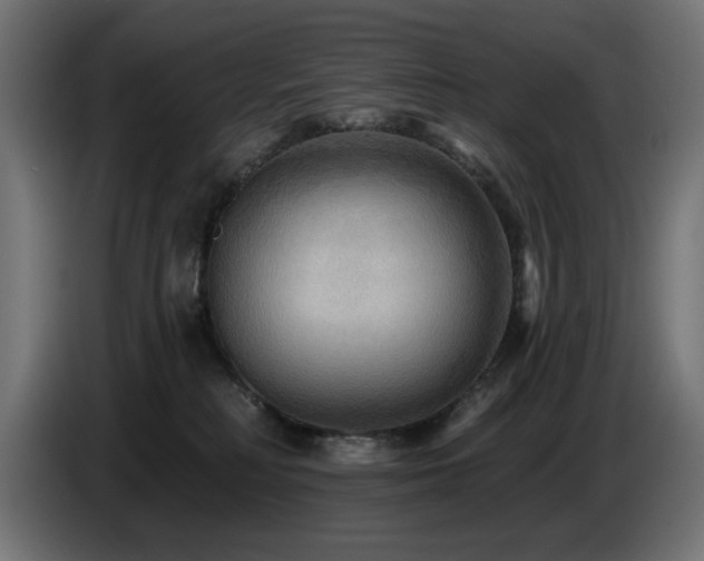 X0000087680230200705041034