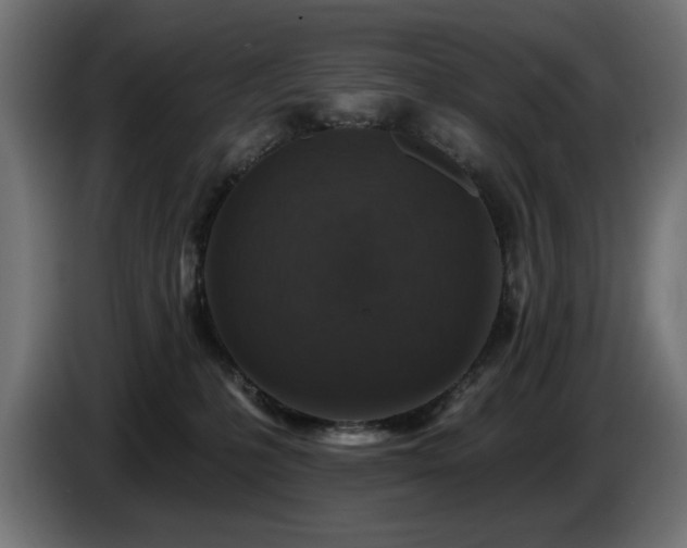 X0000087680231200705041034