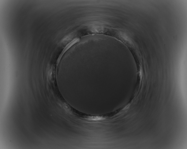 X0000087680233200705041034
