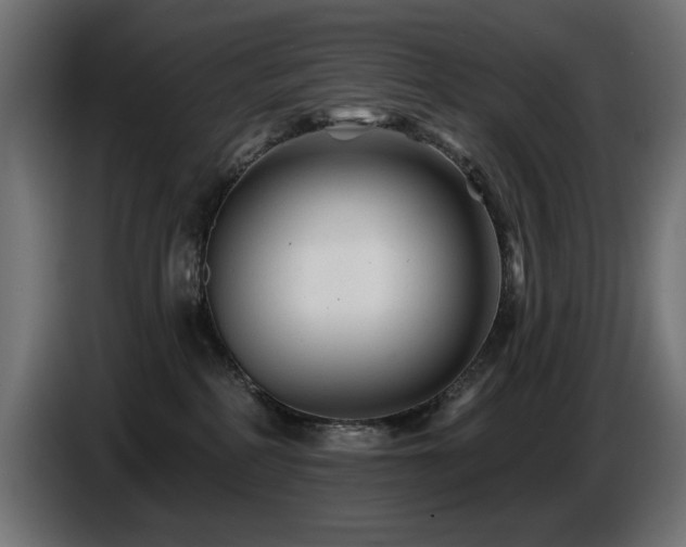 X0000087680234200705041034