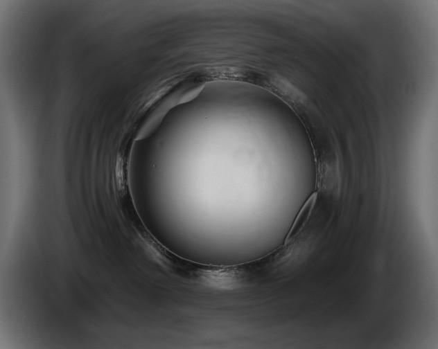 X0000087680238200705041034