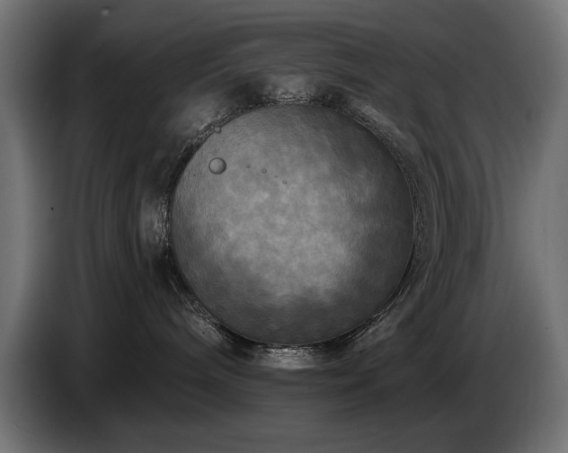 X0000087680240200705041034