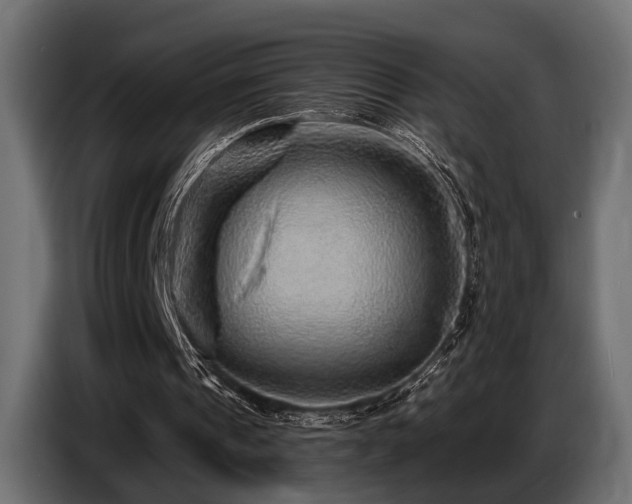 X0000087680241200705041034