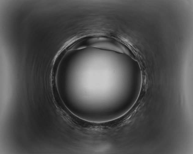 X0000087680244200705041034