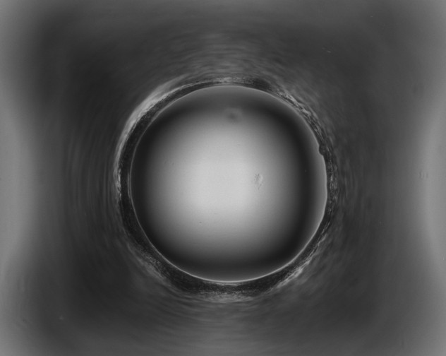 X0000087680246200705041034