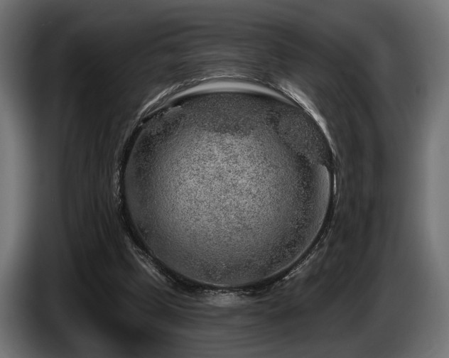 X0000087680249200705041034
