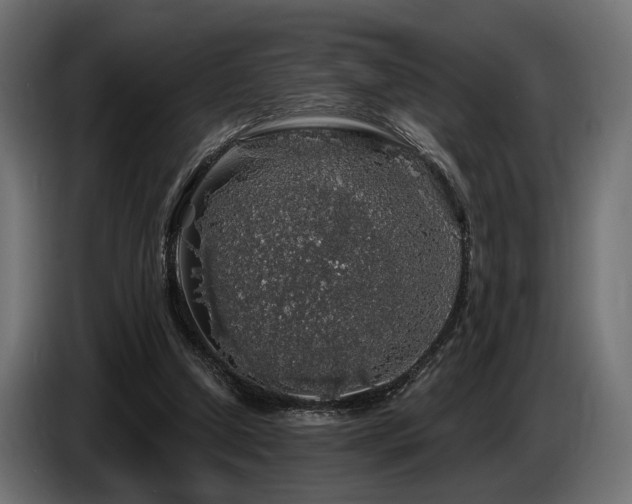 X0000087680250200705041034
