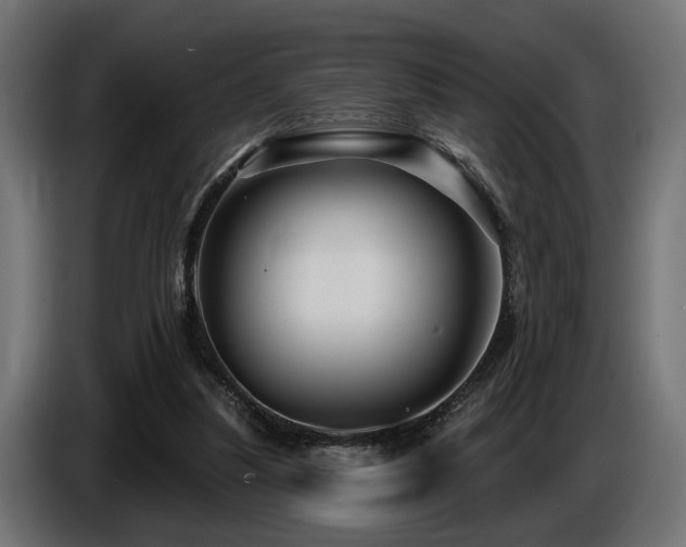 X0000087680251200705041034