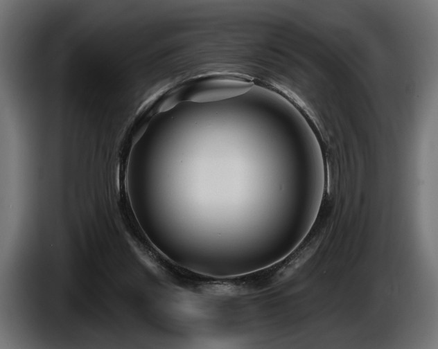 X0000087680253200705041034