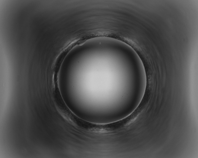 X0000087680254200705041034